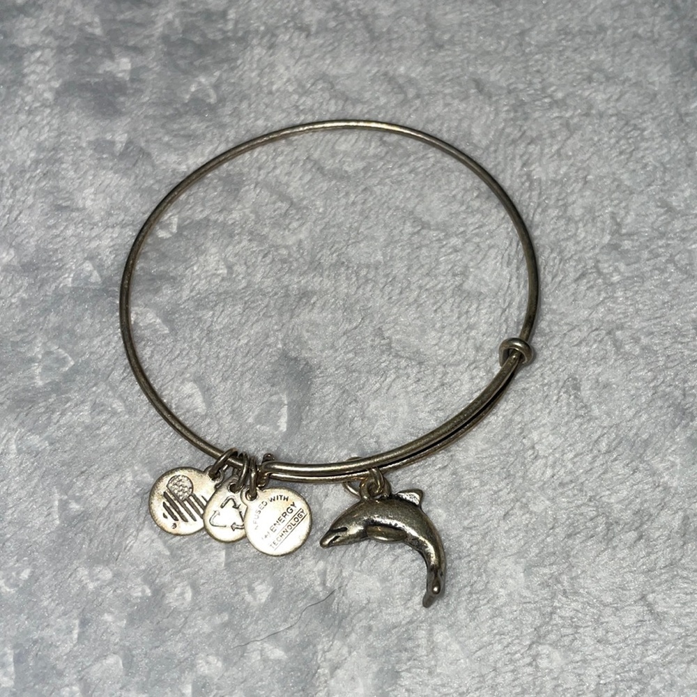 Alex and Ani Dolphin bracelet